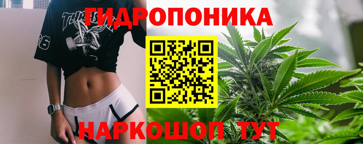 Конопля конопля  Каннабис OG Kush  Ленинск-Кузнецкий  Вход с VPN  Бошки Шишки AK-47 
